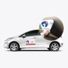 Car Magnets 24x12in